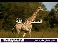 هم النم اغانى اطفال عفاف راضى
