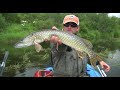 Fly Fishing for Northern Pike in Alaska