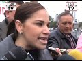 Usarán en Guadalupe pinos navideños como fertilizante
