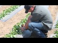 Family Farmer Talks About Importance Of Environmental Stewardship