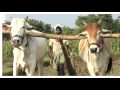 Microinsurance Network presents itself
