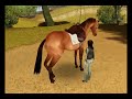 Pippa Funnell 3 - Walkthrough 10: Part 2 Pippa Funnell 3 - Walkthrough 10: Part 2