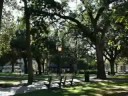 The Beautiful South
