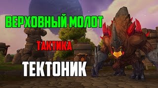 Вм(2 квартал)Тактика Об/Гер