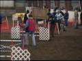 2009-01-06 | Zelda PAC AKC Jan09 ~> Gordon Setter Zelda does agility at the PAC AKC trial, Jan. 09. ... (05:17)