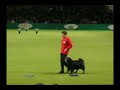 Linda & Badger Crufts 2005