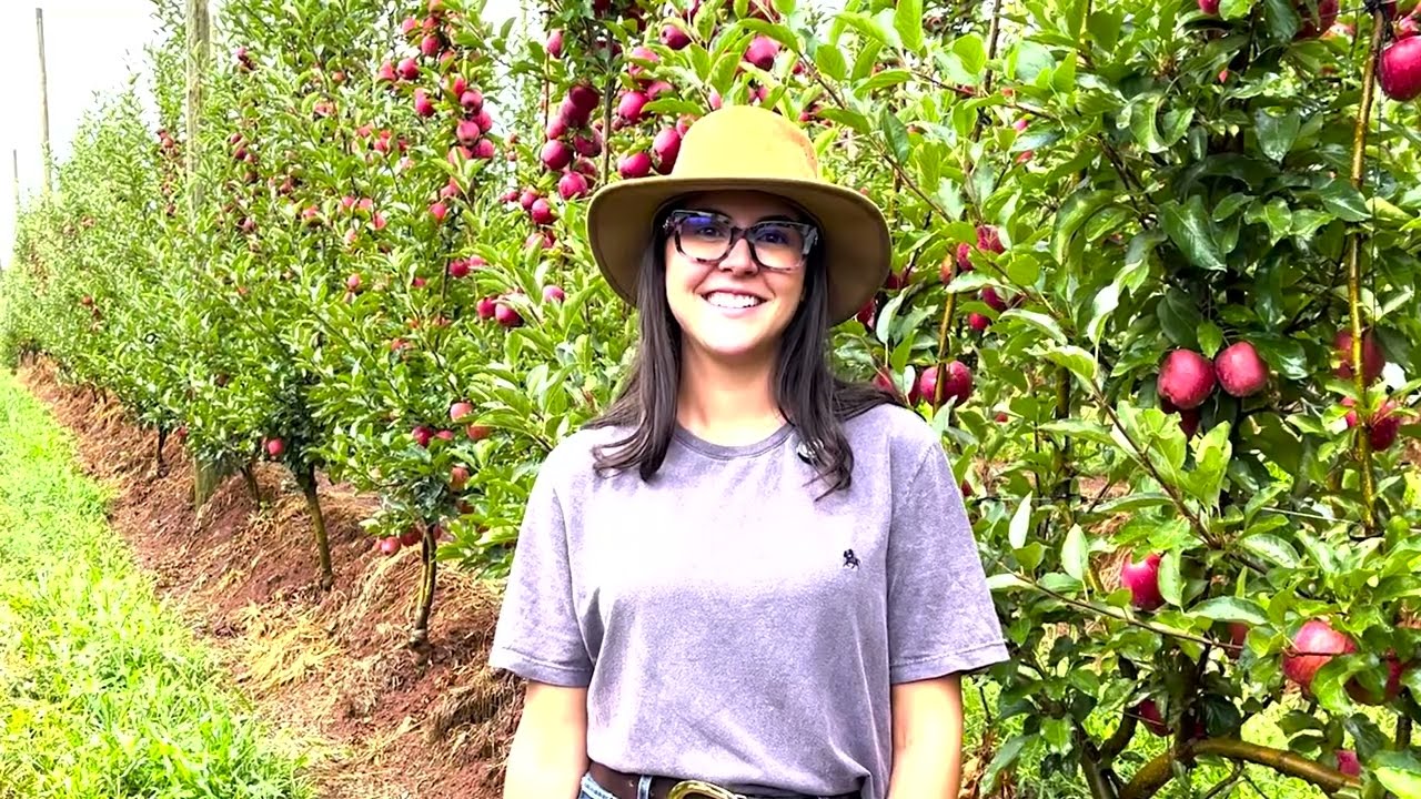 Escassez de mão-de-obra na fruticultura é alvo do projeto Semear Digital no RS