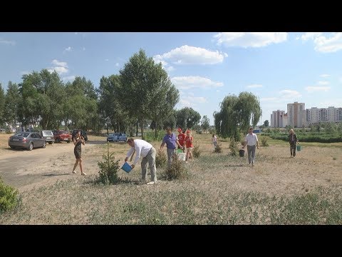 На Гомельшчыне абвешчана акцыя «Палей дрэва» видео