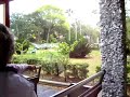 here we are on the tour train in st. augustine