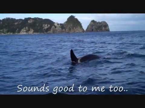 See video
