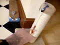 BubbleWrap Cat II