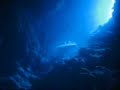Freediving the Canyon, Dahab