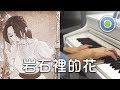 岩石裡的花 鋼琴版 (主唱: 鄧紫棋 G.E.M