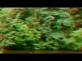 3D Film Hyperrealistic - 3D Video Clip