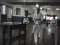 GENSEIRYU,KARATE-DO,NANBEIKAI