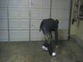 videos de MaRvIn [GaNgStA WaLkEr]