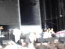 Gnarls Barkley at VFest 2006