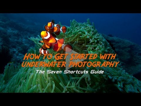 how to take underwater photos