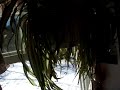 100_0208.MOV