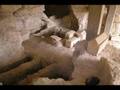 Archaeology Verifies the New Testament