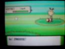 My Shiny Loss My Shiny Loss