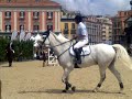 4 CONCORSO IPPICO INTERNAZIONALE A NAPOLI