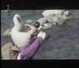 shahre mosha-2