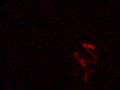Hard Drive Laser Audio FX 1