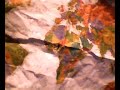 The Earth The Earth