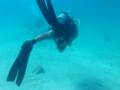 videos de Snorkeling Over 30 Feet Underwater Next to Scubadivers Proof
