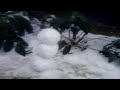 Schneeman Lady Gaga