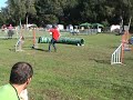 Luna Tale Ejay agility 1