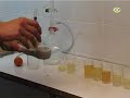 Champagne : d�bourbage