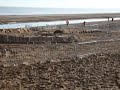 Skegness Whats On – AMCA Beach Racing