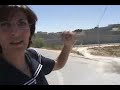 A Palestinian Woman