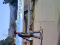 tuxpan skate(MILTON)