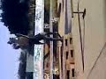 tuxpan skate(MILTON)