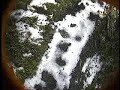 Mountain biking at Thredbo/Deadhorse gap