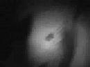 Eighty Six 10-9-04 Part 2