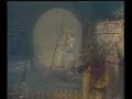 z� fortuna e pitangueira cantando paineira velha raridade