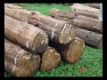Indoor and Outdoor Indonesia Furniture Reproduction