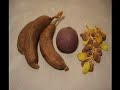 2 month time lapse fruit decomposation 2 month time lapse fruit decomposation