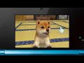 nintendogs