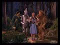 scrubs + the wizard of oz