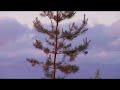 Jurmala TEST Panasonic DVCPRO HD