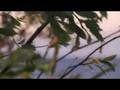 Jurmala TEST Panasonic DVCPRO HD