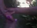 videos de pikas chillon