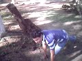 Video estupido! Video estupido!