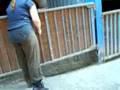Stall Heyken Juist