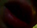 un video sin sentido